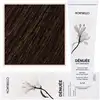 Image de Teinture capillaire Montibello Denuée 60 ml 5 | Marron clair