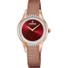 Image de Festina Watches Mod. F20496/1