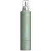 Image de Amplifier Mousse 300 Ml