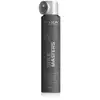 Image de Revlon Laque Style Masters 3 Photo Finisher 500 ml