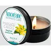 Image de Mini Bougie de Massage Ylang Touch
