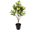 Image de Plantes artificielles Signes Grimalt  Citronnier S P29897094