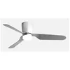 Image de Fabrilamp Kochi Nickel, Argent