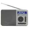 Image de Radio numÃ©rique portable Aiwa RD40DABTN Gris FM DAB+
