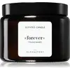 Image de Ambientair The Olphactory Citrus & Shades bougie parfumée Forever 360 g