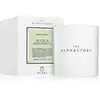 Image de Ambientair Bougie parfumée The Olphactory White Insignia Acqua Bergamota 310 g