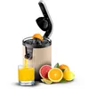 Image de Cecotec Presse-agrumes Ã©lectrique Ã  bras pour oranges et agrumes Xqueeze RetroJuice 600 Beige. 600W, Style rÃ©tro, filtre en acier inox, cÃ´ne plastique, levier pour extraire la pulpe, Anti-gouttes