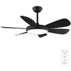 Image de Cecotec Aero 5200 Black Pro Noir