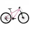 Image de Vélo tout terrain éléctrique Wolfbike Oxygen 27 16,5"