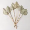 Image de Lot de 6 branches sÃ©chÃ©es dÃ©coratives Beliefe Vert Bambou