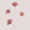 Image de Lot de 4 branches sÃ©chÃ©es dÃ©coratives Urpek Rose Peonia