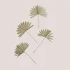 Image de Lot de 4 branches sÃ©chÃ©es dÃ©coratives Urpek Vert Bambou