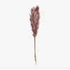 Image de Pack de 5 branches sÃ¨ches dÃ©coratives Dagrai Rose Mauve PÃ¢le