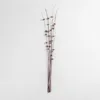Image de Pack de 10 branches sÃ¨ches dÃ©coratives Zinia Brun