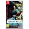 Image de Terracotta Switch