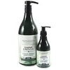 Image de Shampooings Alcantara  Traybell Essentia Shampooing Équilibre P29366128