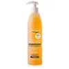 Image de Shampooings Byphasse  Shampoing À La Kératine Sublim Protect P22258115