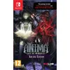 Image de Anima : Gate of Memories Arcane Edition Switch
