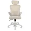 Image de Silla ergonÃ³mica Drift DRAIR35 Beige Respaldo Malla Reclinable Reposabrazos Abatible 120 kg