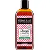 Image de Nuggela & Sulé Shampoing Antipelliculaire Epigénétique 250 ml