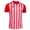 Image de T-shirt Joma  T-shirt  Inter II P31092930