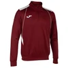 Image de Sweatshirts Joma  Championship VII P30058711