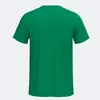 Image de Maillot col en V Joma Inter IV Vert S 103720.452