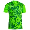 Image de Maillot Joma Lion Ii