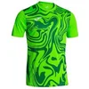 Image de Maillot Joma Lion II Vert L 103729.020