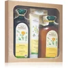 Image de Green Pharmacy Coffret de soins aux plantes pour le visage, le corps et les cheveux