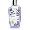 Image de Bohemia Gifts & Cosmétiques Bohême Herbs Après-shampooing à la lavande 250 ml
