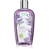 Image de Bohemia Gifts & Cosmétiques Bohême Herbs Shampooing Cheveux Lavande 250 Ml