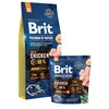 Image de Brit 8595602526338 Alimentation SÃ¨che Pour Chiens 15 Kg Junior Poulet