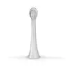 Image de Concept Têtes de rechange pour brosses à dents pour enfants ZK6010, ZK6020 Small ZK0061, 2 pièces