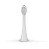 Image de Concept Têtes de rechange pour brosses à dents pour enfants ZK6010, ZK6020 Medium ZK0062, 2 pièces