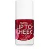 Image de Pastel Teinture des lèvres aux joues blush Rouge à lèvres et joues liquide 01 Carmen 9,6 ml
