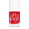Image de Pastel Teinture des lèvres aux joues blush Rouge à lèvres et joues liquide 02 Lolita 9,6 ml