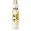 Image de Pantene Shampoing fortifiant Pro-V Bond Repair pour cheveux abîmés à la biotine 250 ml