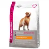 Image de Eukanuba - Golden Retriever - 12 Kg