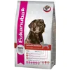 Image de Eukanuba Croquettes Au Poulet - 12kg - Pour Labrador Retriever