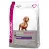 Image de Eukanuba Breed Specific Teckel Pour Chien