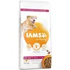 Image de 2x12kg Senior & Mature Large Poulet Iams For Vitality Croquettes Pour Chien