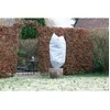 Image de NATURE Housse d'hivernage 50 g/mÂ² - Ã50 cm x 1 m - Blanc