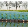 Image de Toile De Paillage Paysages - Vert 90 Gr/MÂ² - 1x25m