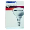 Image de Bailey Electric & Electronics 60800122044 ampoule incandescente 250 W