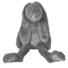 Image de Lapin Gris Perle Richie