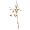 Image de DÃ©coration articulÃ©e squelette 50 cm Halloween Taille Unique