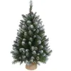 Image de Triumph Tree Empress Sapin de NoÃ«l Artificiel avec toile de jute - H90 x Ã71 cm - Vert givre