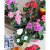 Image de GÃ©ranium Artificielle Rouge En Pot H34