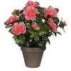 Image de Azalea Artificielle PÃªche En Pot H27